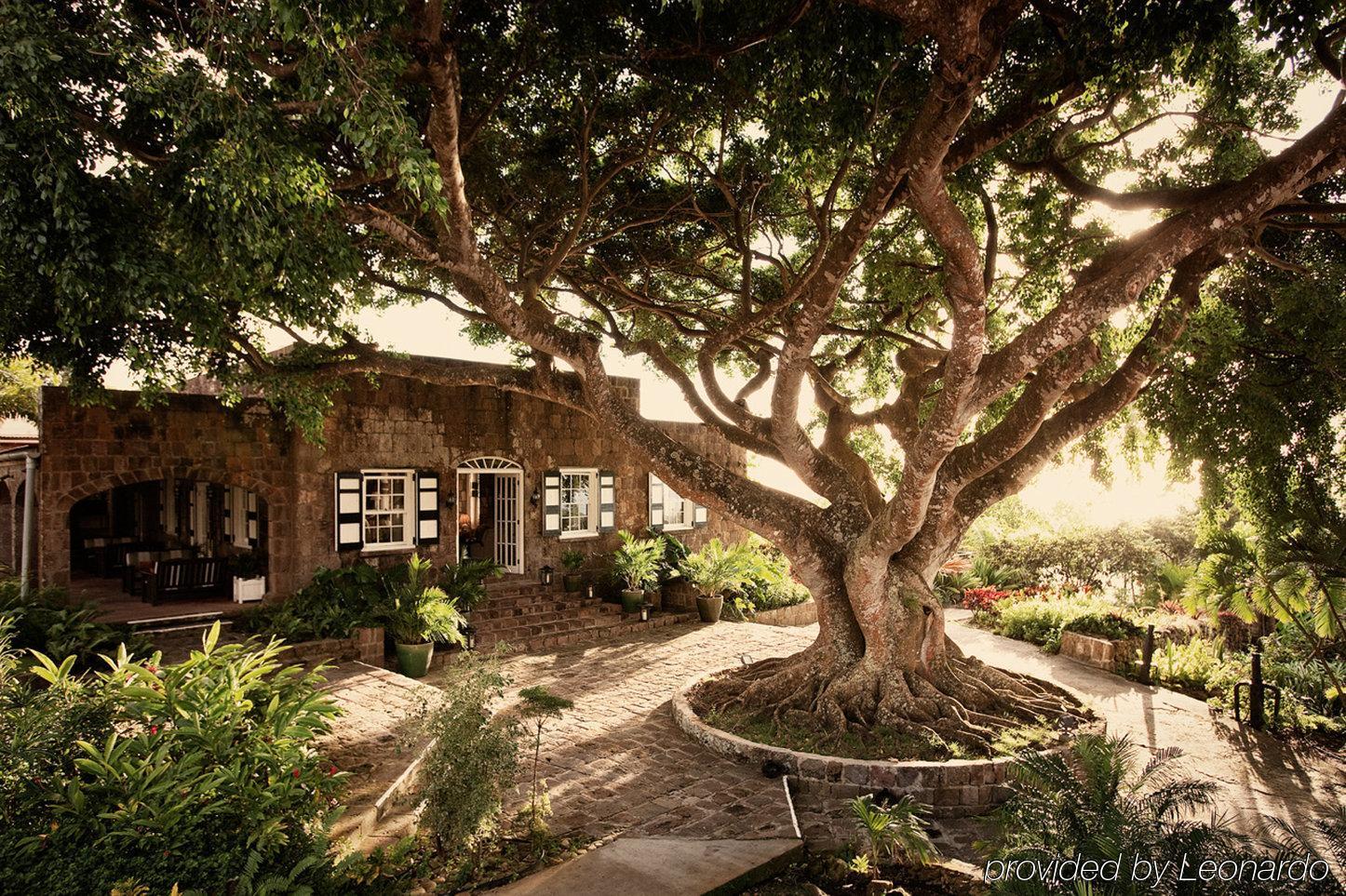 Montpelier Plantation & Beach Charlestown Bagian luar foto