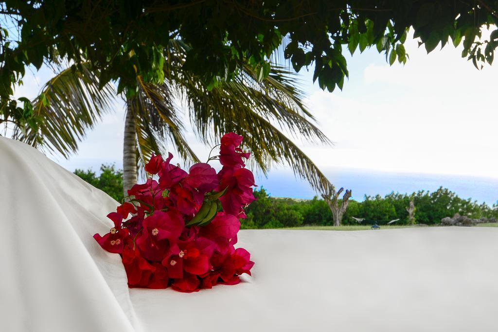 Montpelier Plantation & Beach Charlestown Bagian luar foto