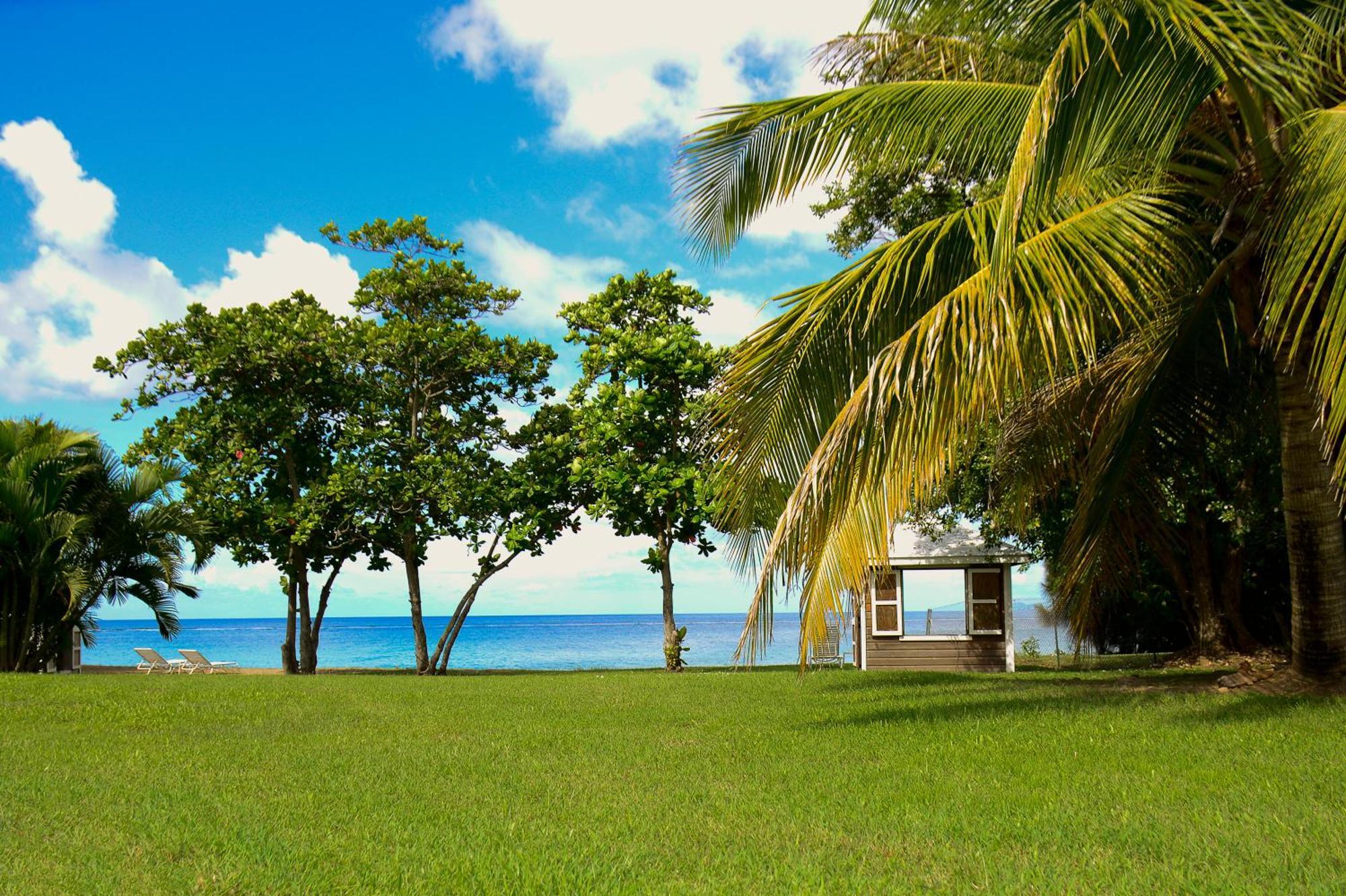 Montpelier Plantation & Beach Charlestown Bagian luar foto