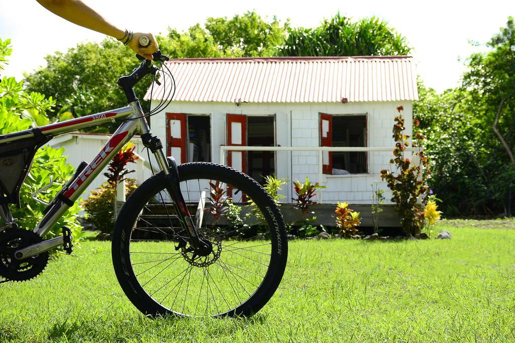 Montpelier Plantation & Beach Charlestown Bagian luar foto