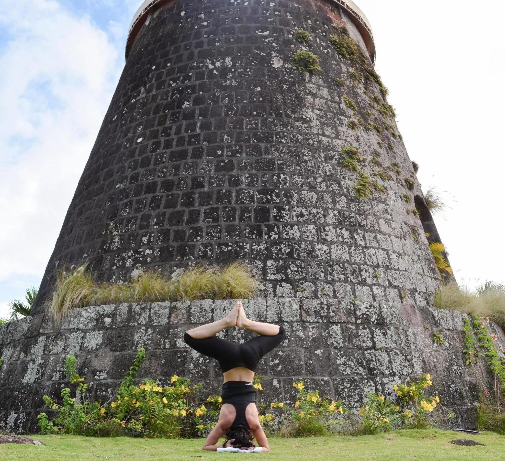 Montpelier Plantation & Beach Charlestown Bagian luar foto